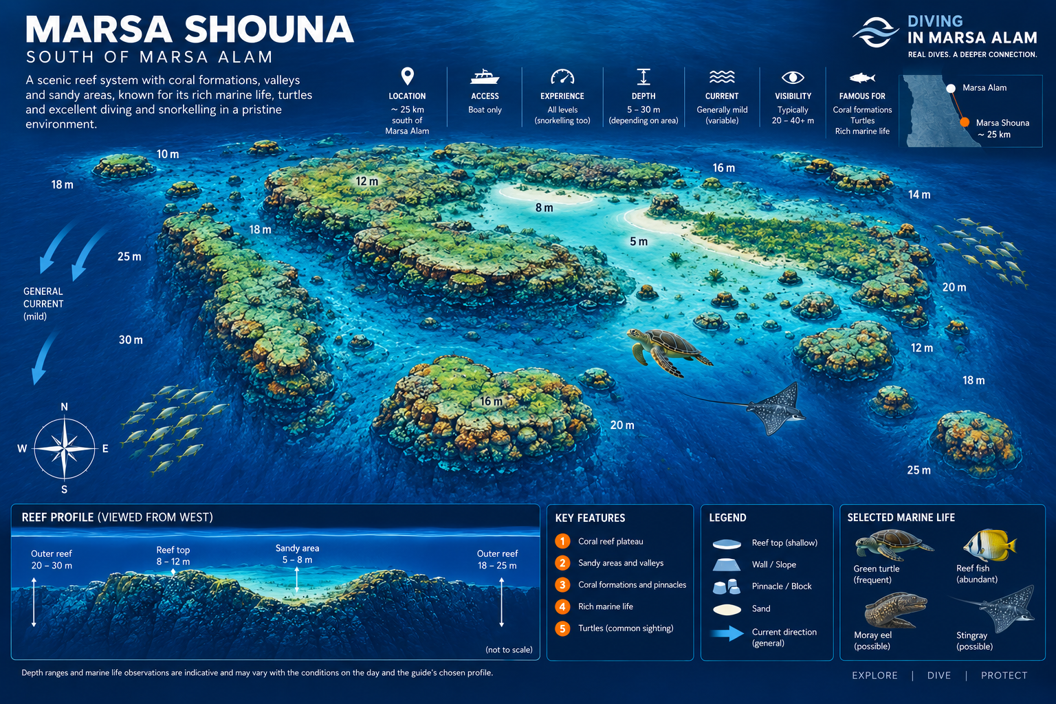 Marsa Shouna dive map