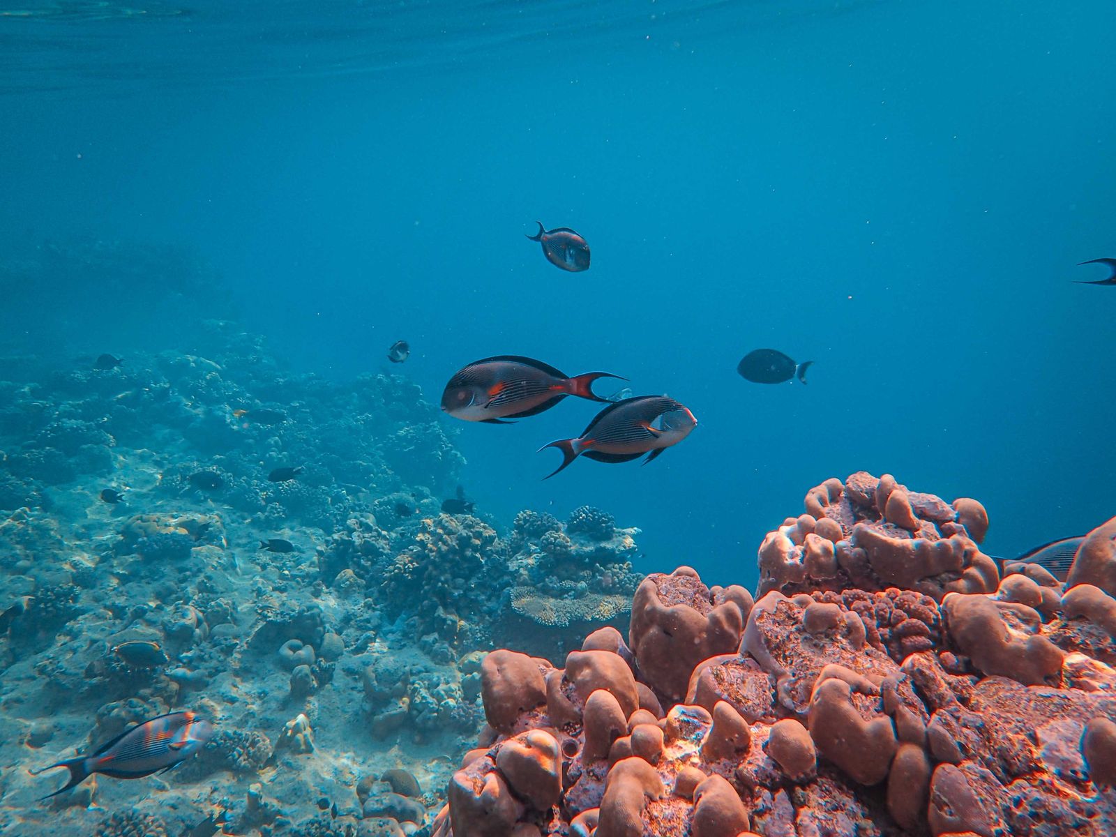 Marsa Egla